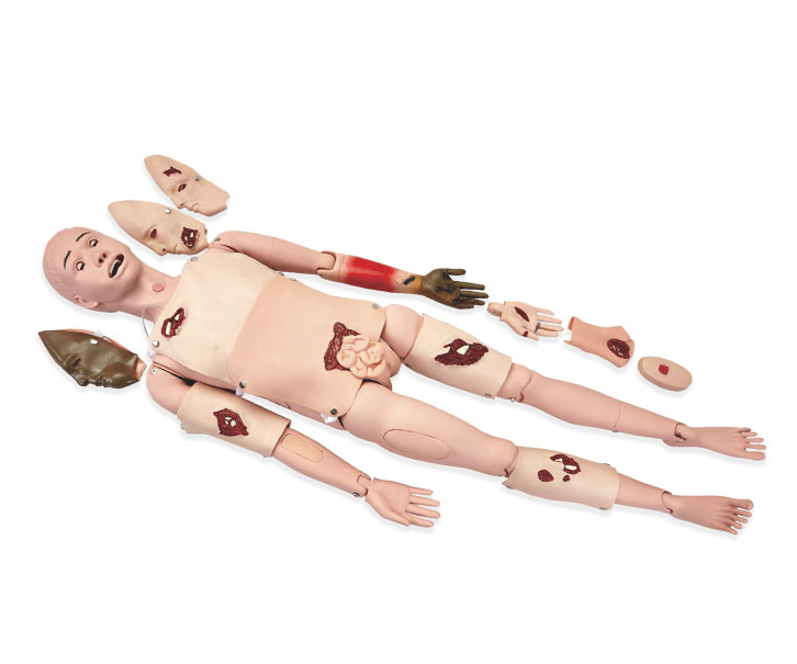 全功能护理创伤模型