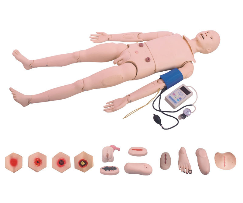 全功能护理人模型（带血压测量）