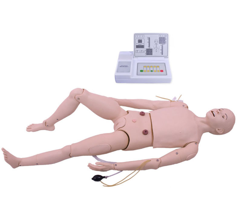 高级成人护理及CPR模型人