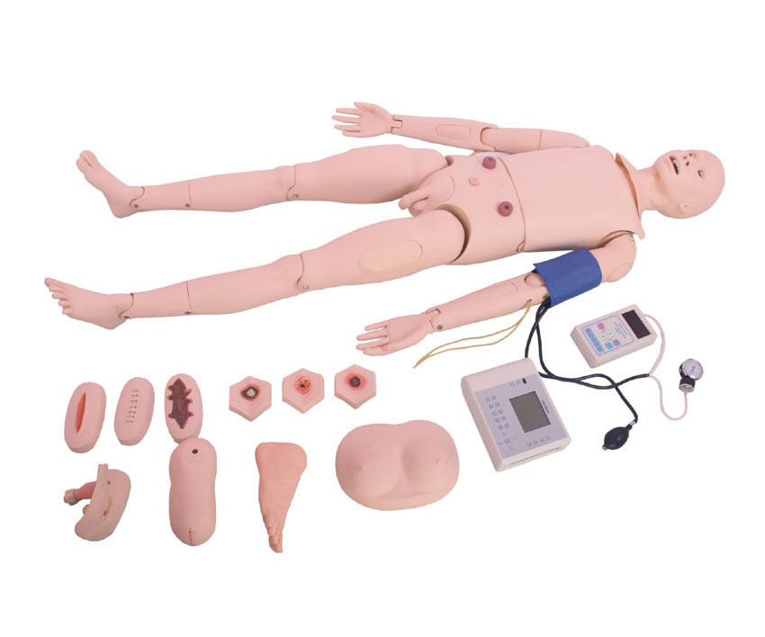 高级成人护理技能训练模型