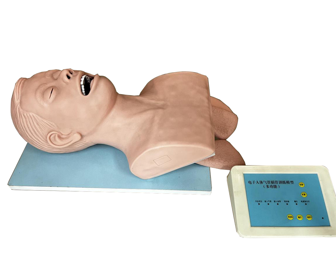 电子人体气管插管训练模型（无线连接）