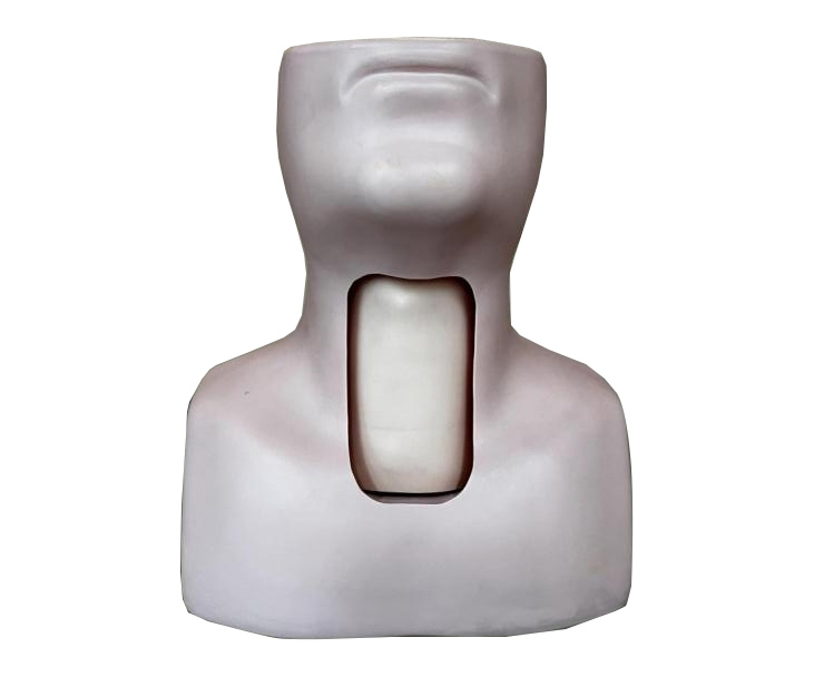 高级环甲膜穿刺及气管切开插管训练模型