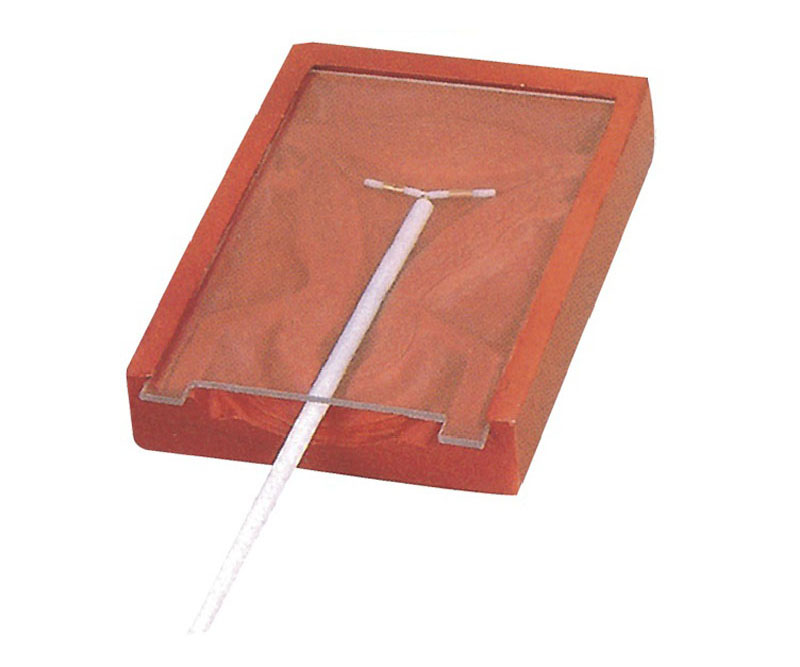 高级宫内避孕器训练模型