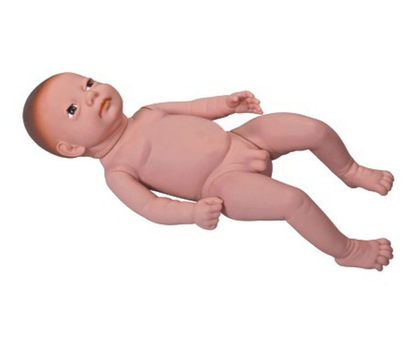 高级出生婴儿模型