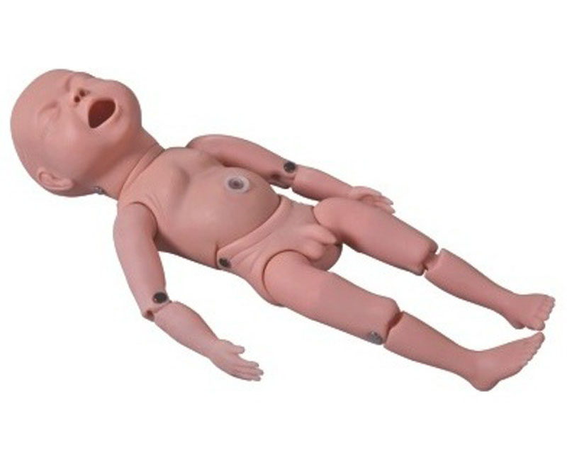 高级新生儿模型（四肢可弯曲）