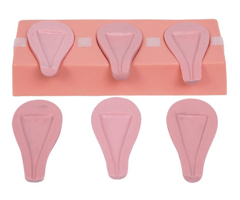 高级人工流产模拟子宫