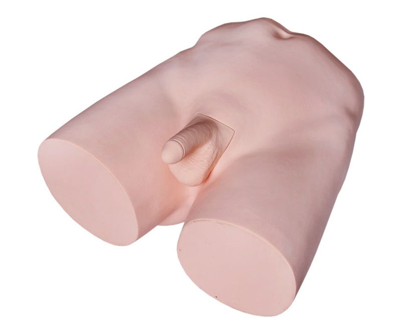 输精管结扎术训练模型