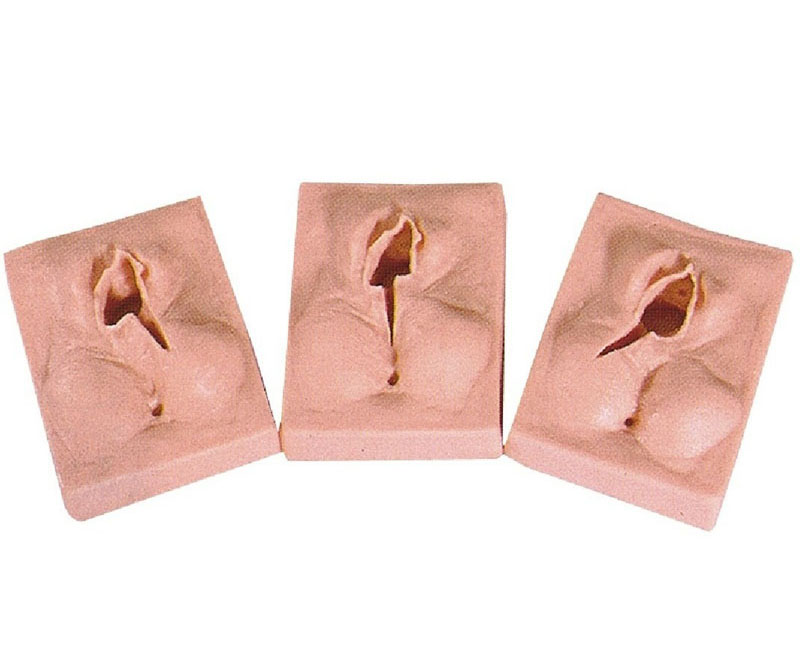 高级外阴缝合练习模型