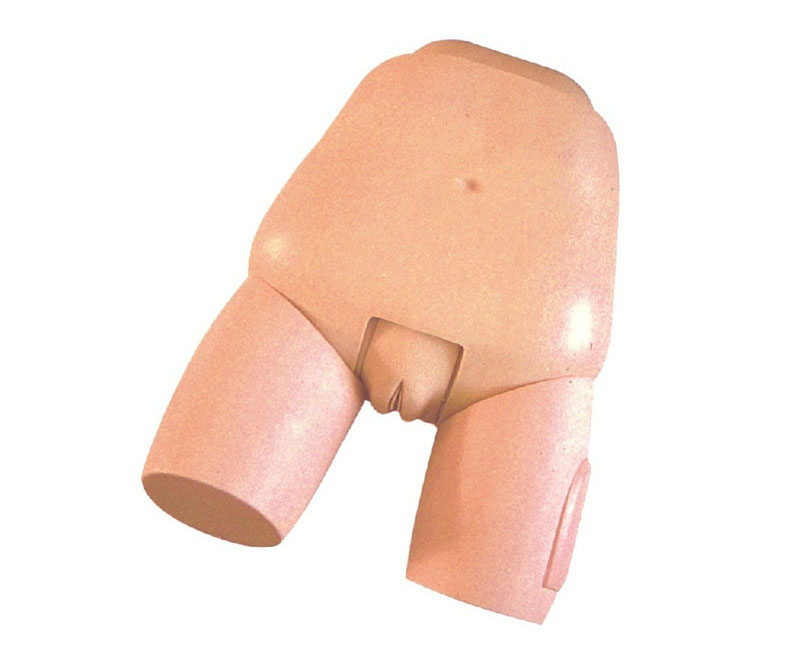 高级子宫底检查评定模型