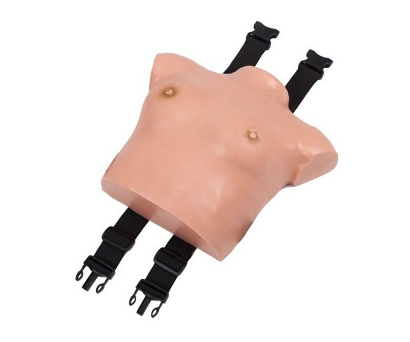 高级着装式乳房自检模型