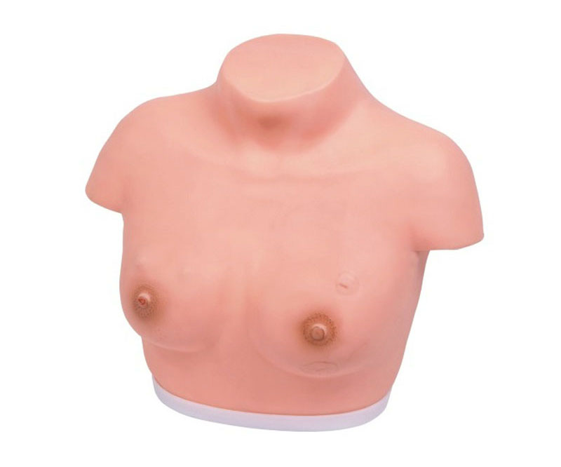 高级乳腺视诊与触诊模型