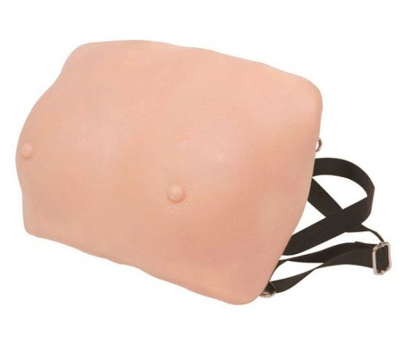 高级乳房检查模型