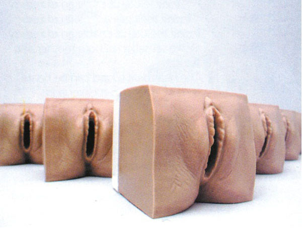 高级产前宫颈变化与产道关系模型