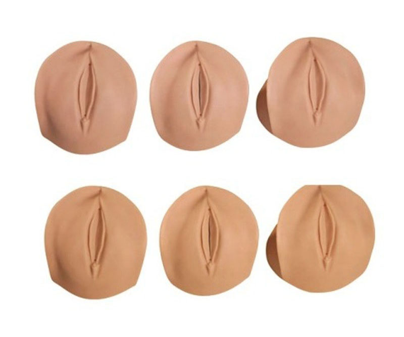 产前宫颈变化与产道关系模型