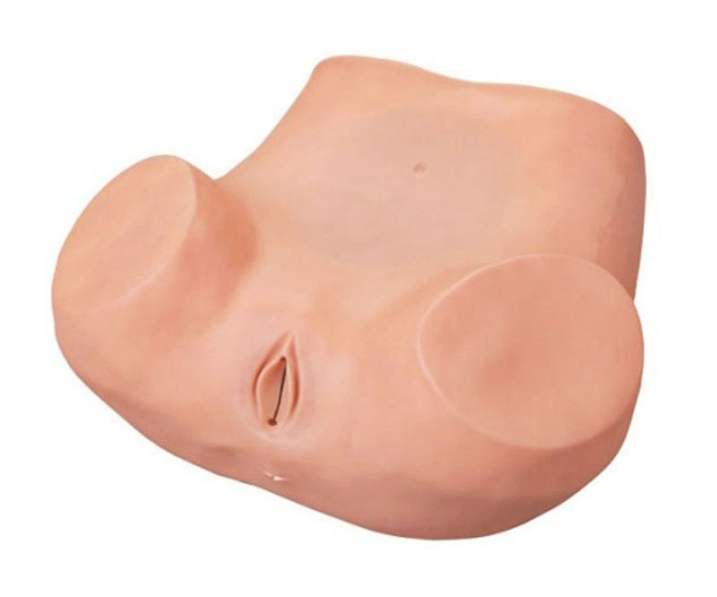 高级妇科训练模型