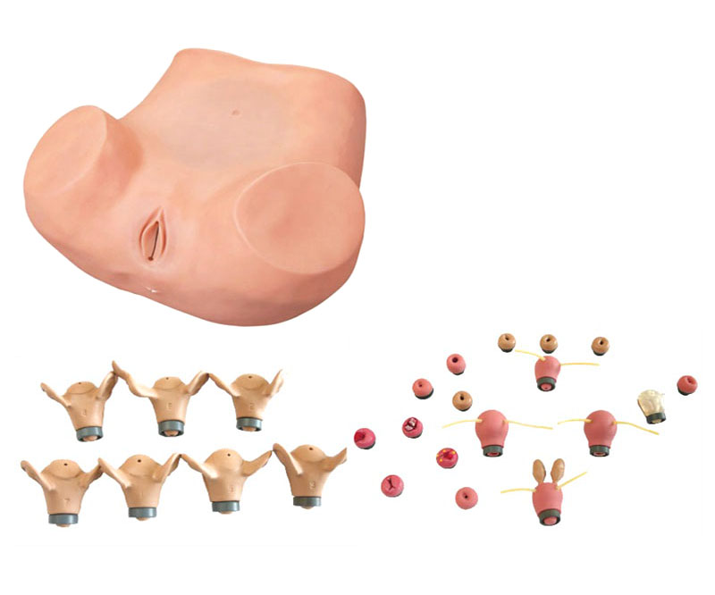 高级妇科综合检查训练模型