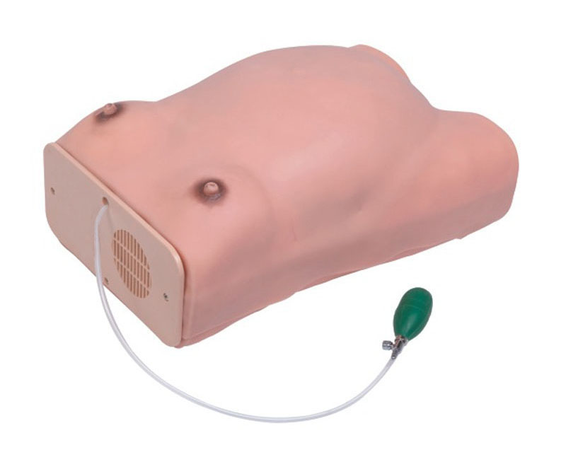 高级孕妇检查模型