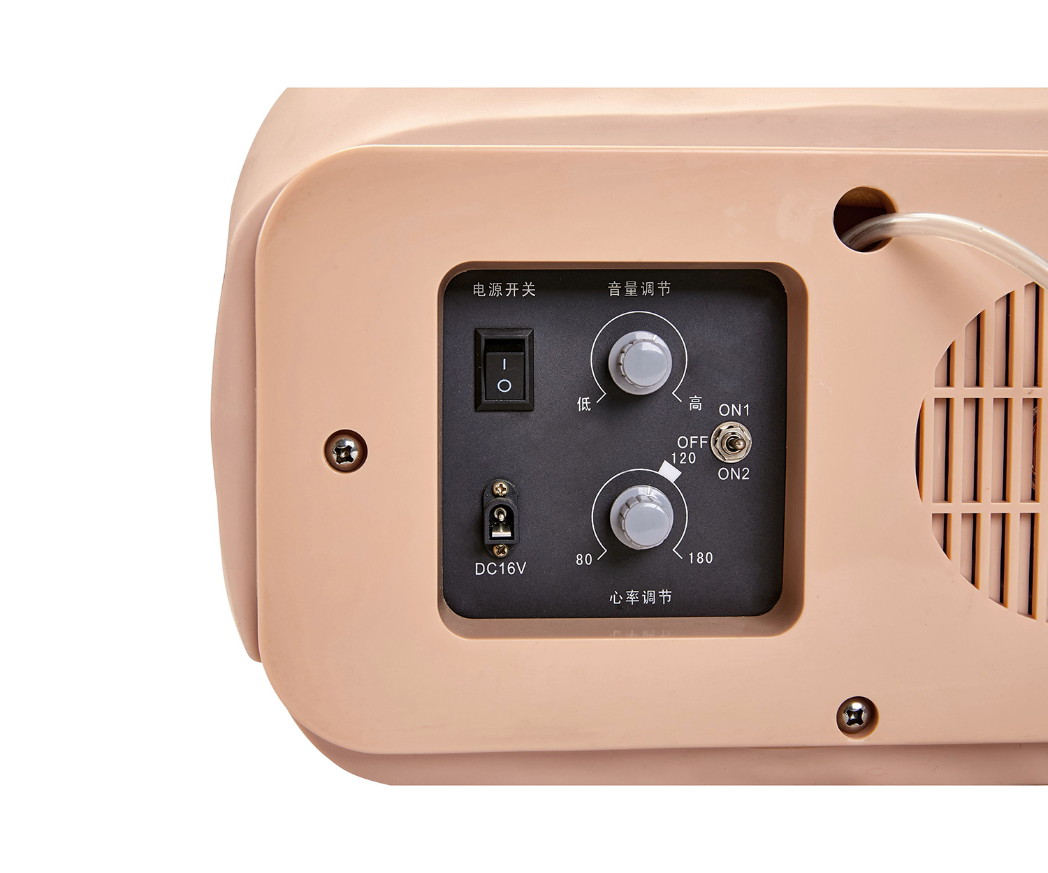 高级电脑孕妇检查模型