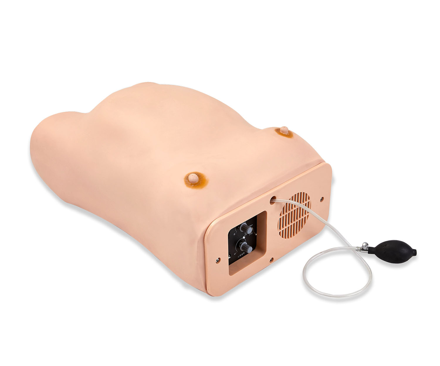 高级电脑孕妇检查模型