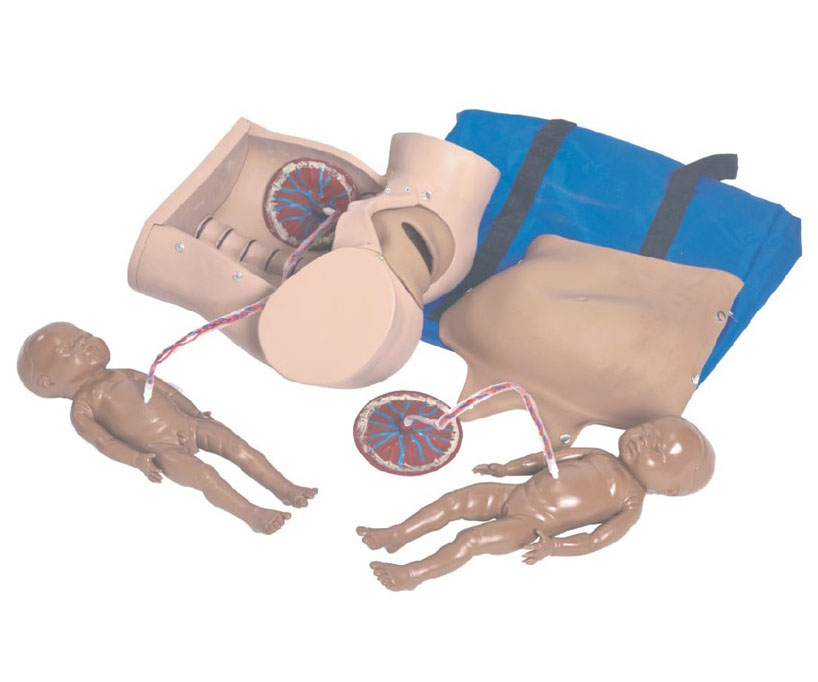 高级分娩综合技能训练模型