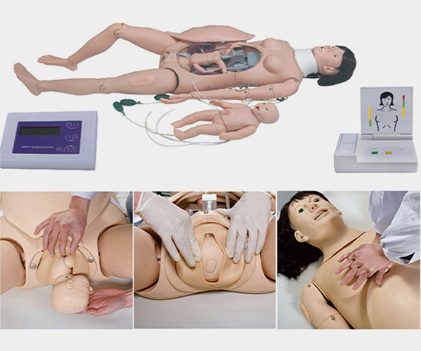 高级分娩与母子急救模型