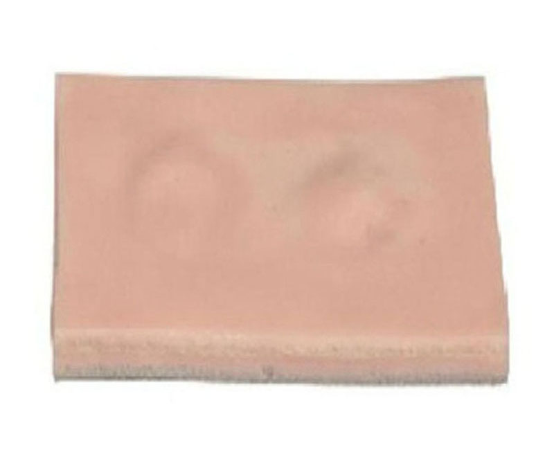 脂肪瘤切除术练习模块