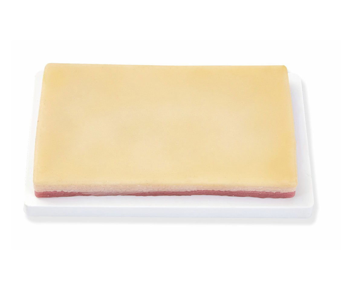 高级皮肤肌肉缝合练习模块