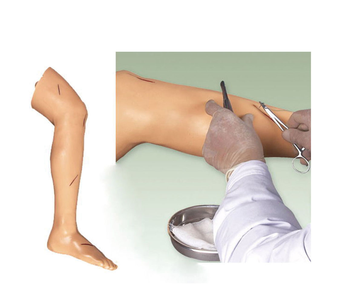 高级外科腿部缝合训练模型