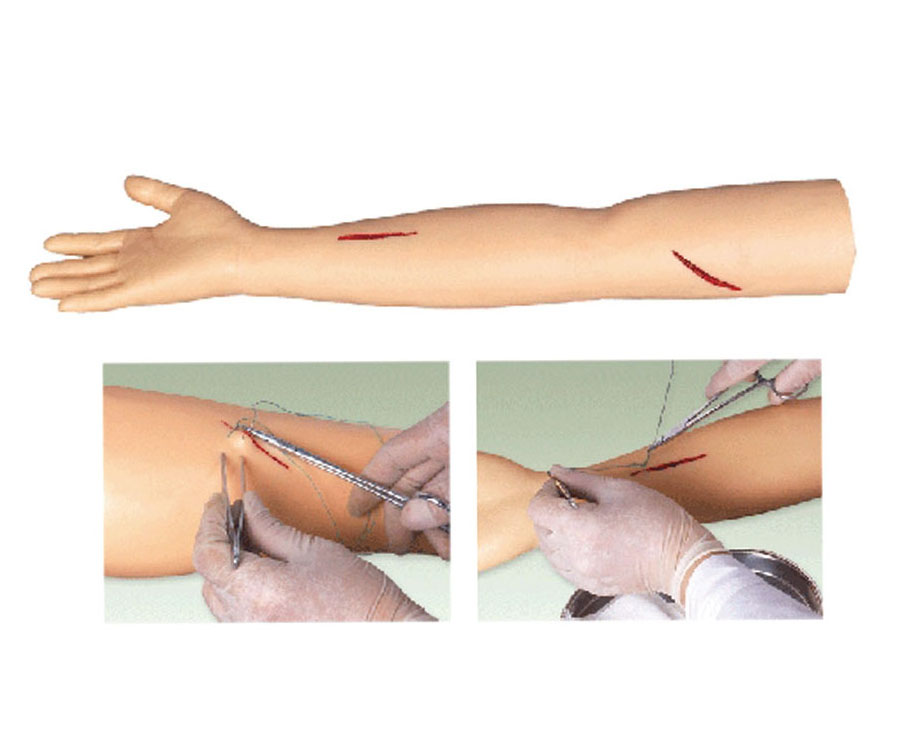 高级外科手臂缝合训练模型