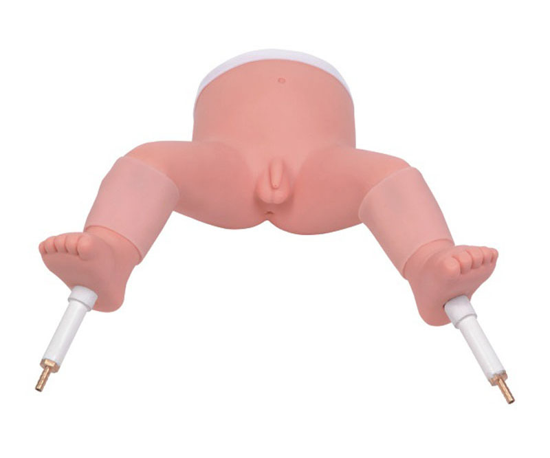 婴儿骨髓穿刺模型