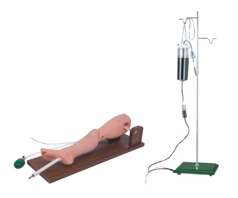 骨穿刺及股静脉穿刺模型