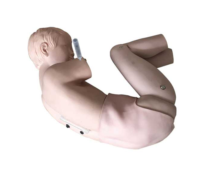 儿童腰椎穿刺训练模型