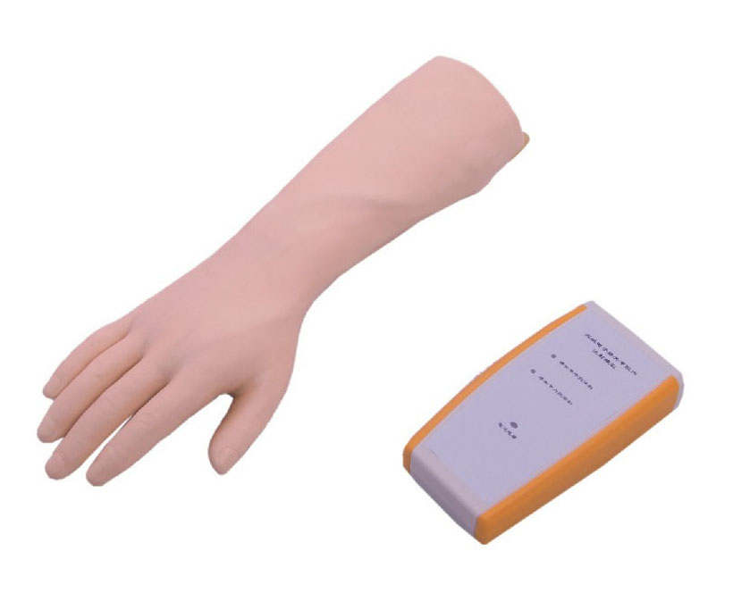 腕关节穿刺模型