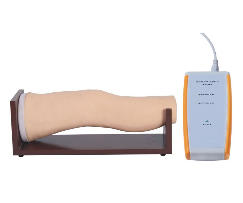 膝关节腔内注射模型（带电子）