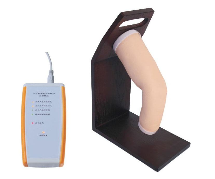 肘关节腔内注射模型