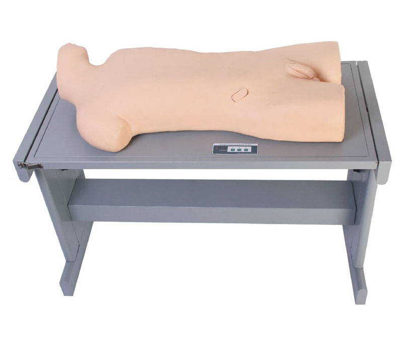 肝脓肿穿刺与胸腔穿刺训练模型