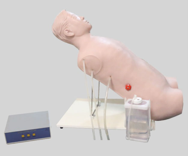 胸腔闭式引流术训练模型