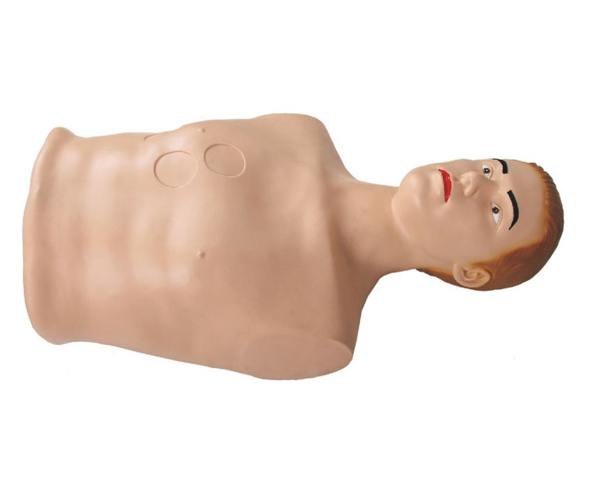 心包穿刺与心内注射训练模型