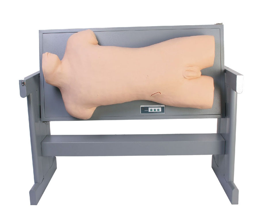 高级综合穿刺术与叩诊检查技能训练模拟人