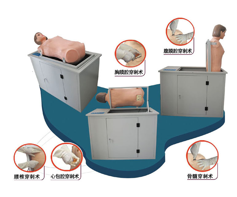 全自动多种穿刺叩诊电脑训练模型