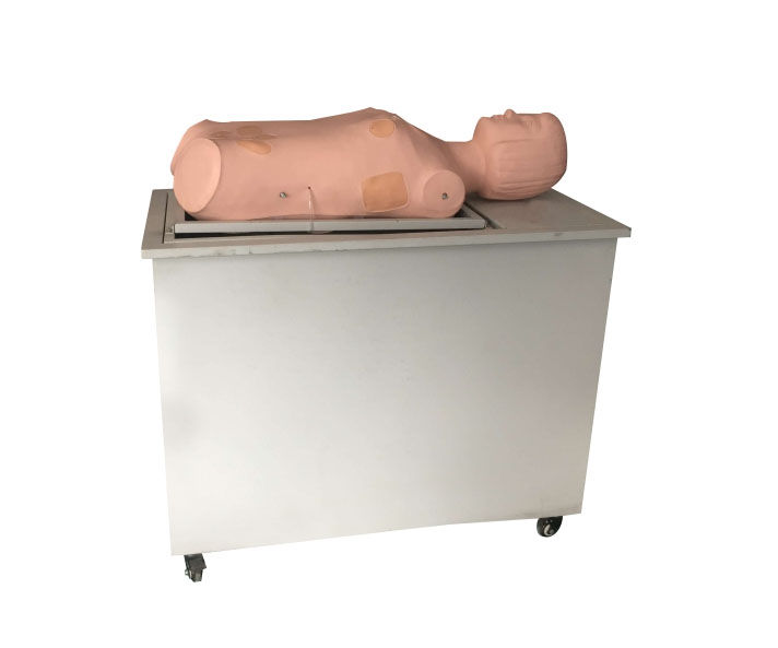 全自动多种穿刺叩诊电脑训练模型